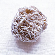 Load image into Gallery viewer, Desert Rose