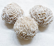 Load image into Gallery viewer, Desert Rose