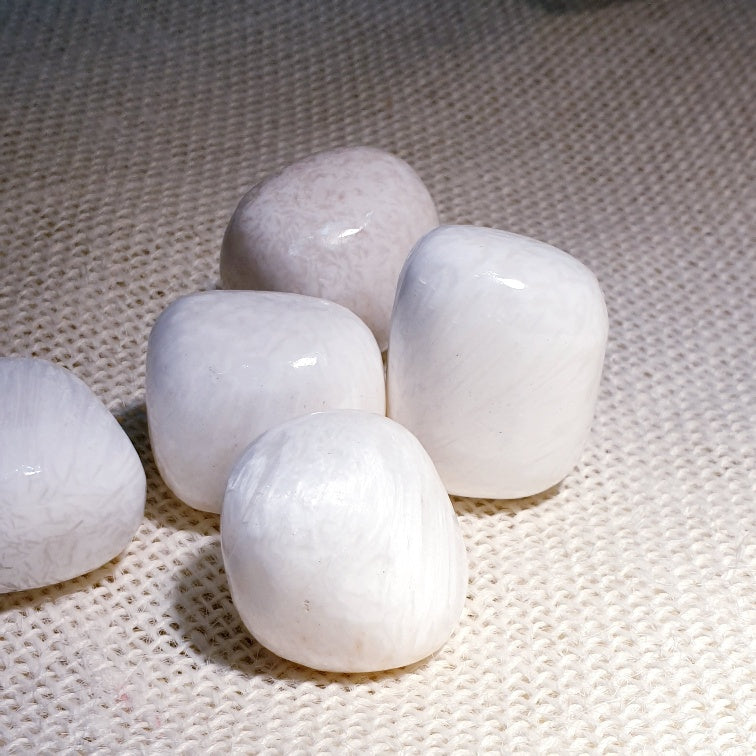 Scolecite