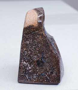 Boulder  Opal Specimen