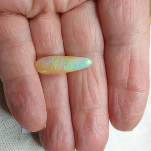 Queensland Pipe Opal