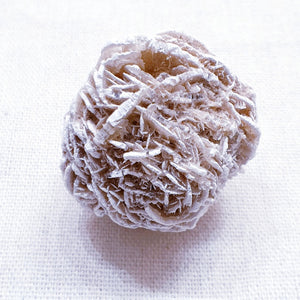 Desert Rose