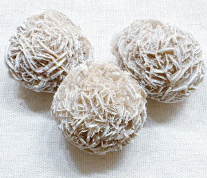 Desert Rose