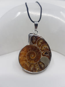 Ammonite Pendant