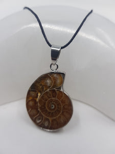 Ammonite Pendant