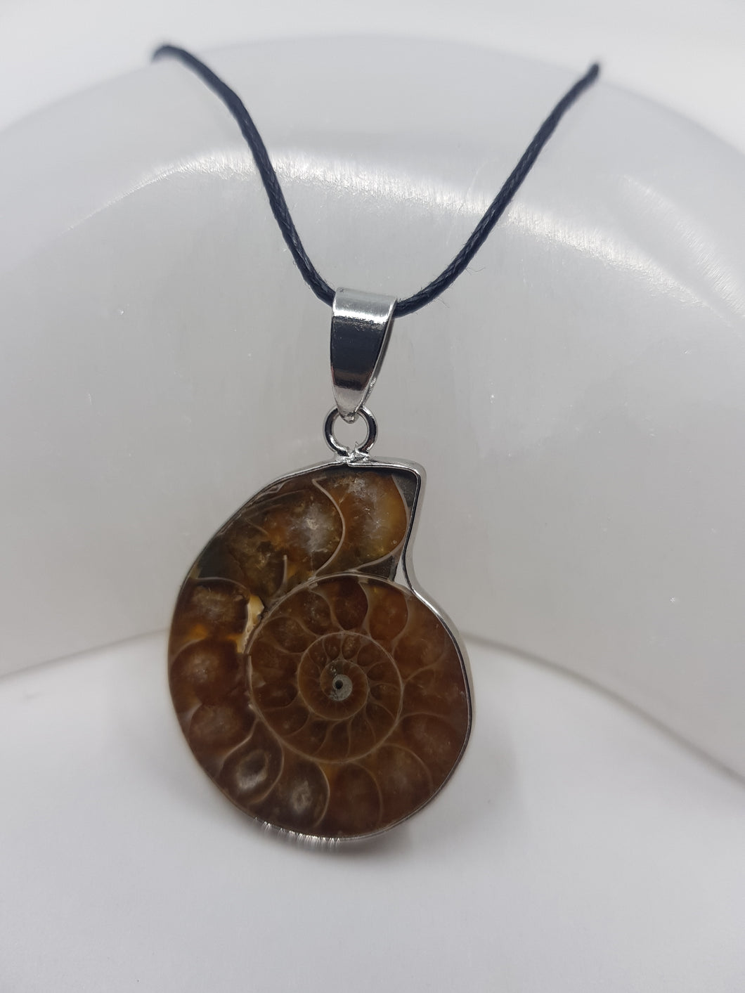 Ammonite Pendant