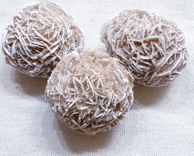 Desert Rose